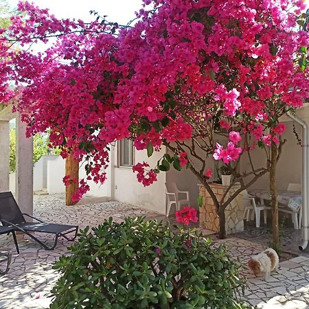 Villa Beatrice Serranova Екстериор снимка