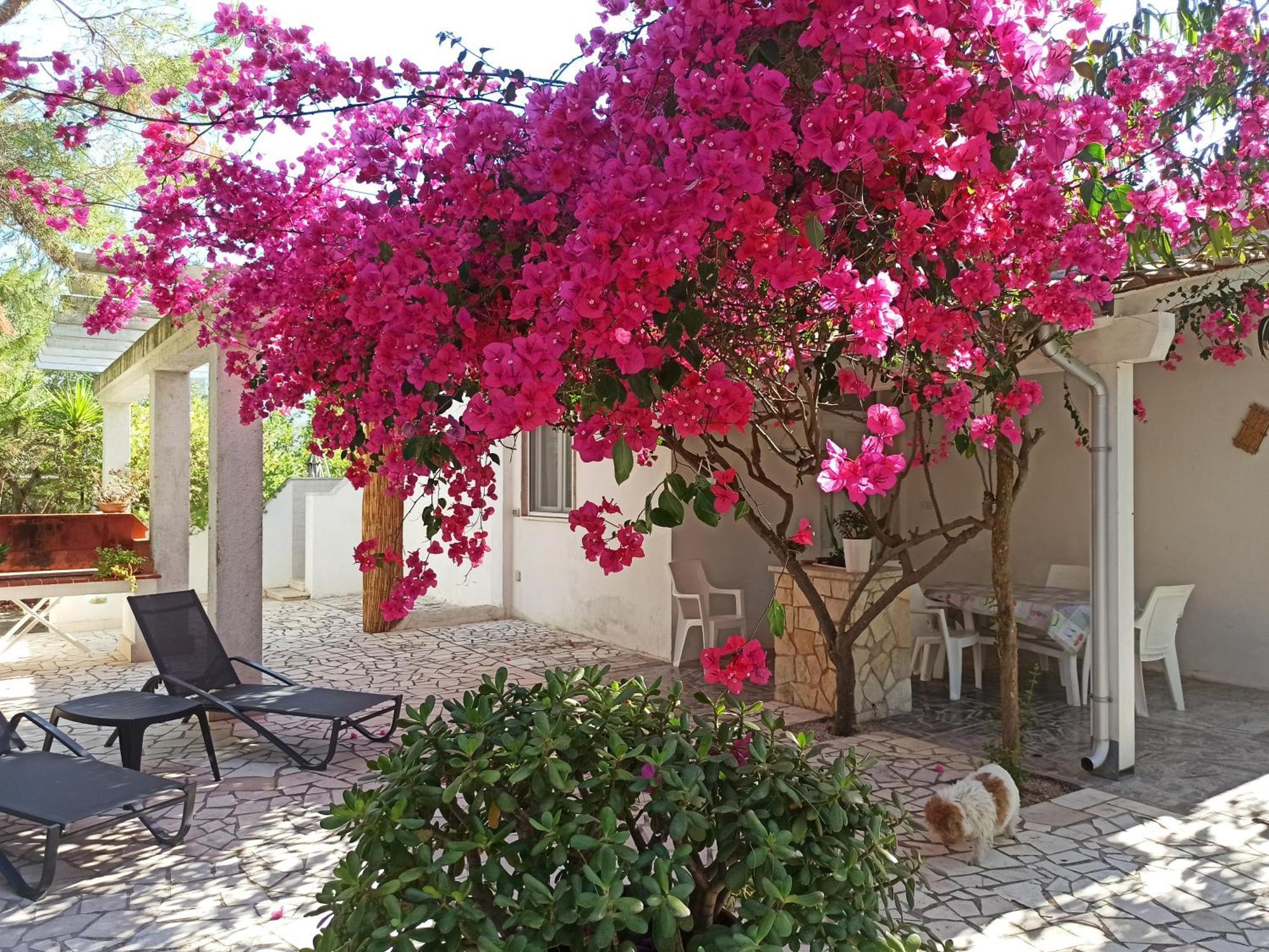 Villa Beatrice Serranova Екстериор снимка